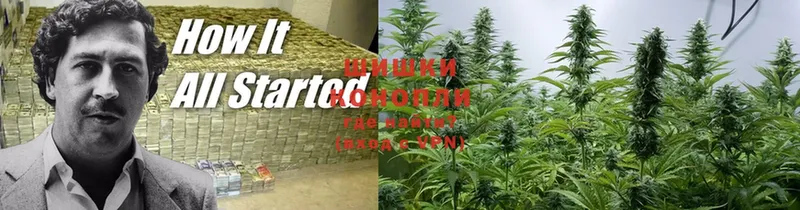 Бошки марихуана Ganja  Горно-Алтайск 